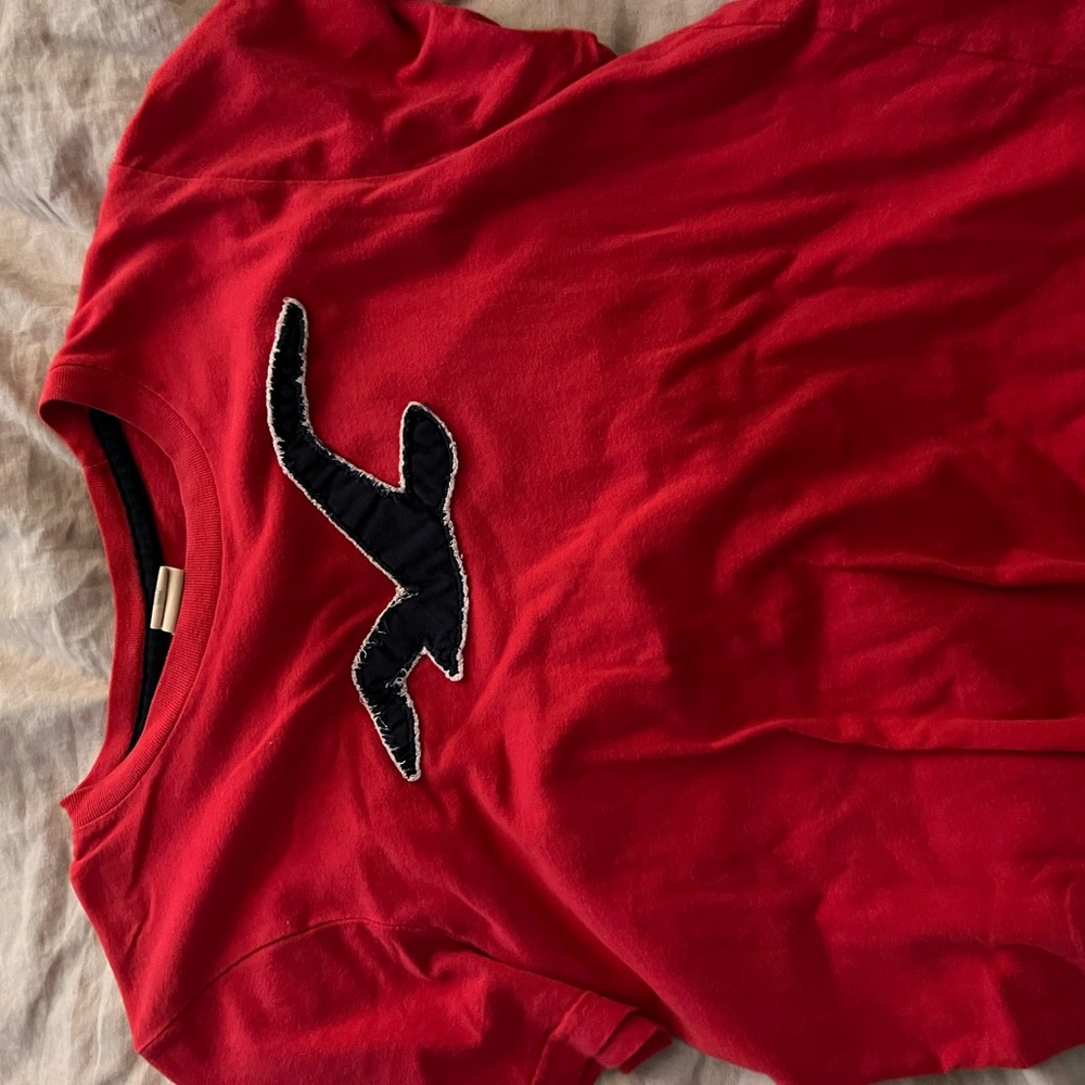 mens hollister t shirt!